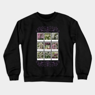 Assylum Photo Collection [full set bundle 2] Crewneck Sweatshirt